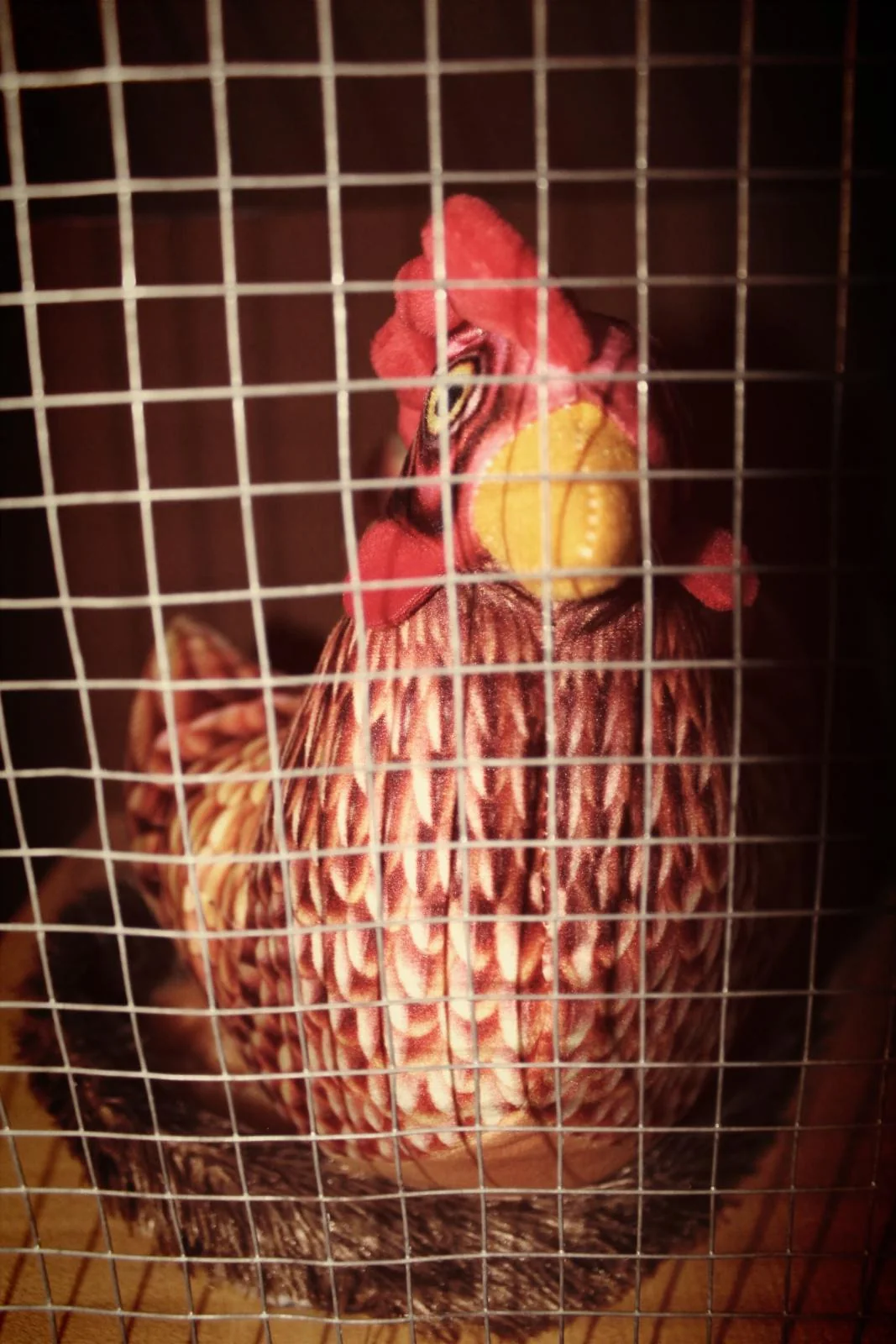 Una gallina de atrezo mira desde detrás de la malla metálica del gallinero